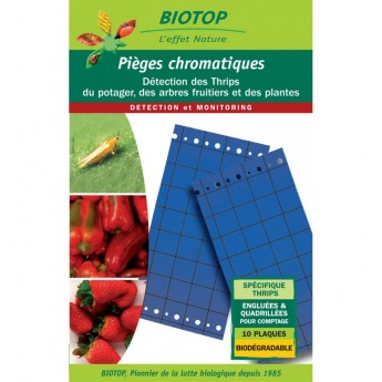 PIEGE CHROMATIQUE BLEU POUR INSECTES RAVAGEURS