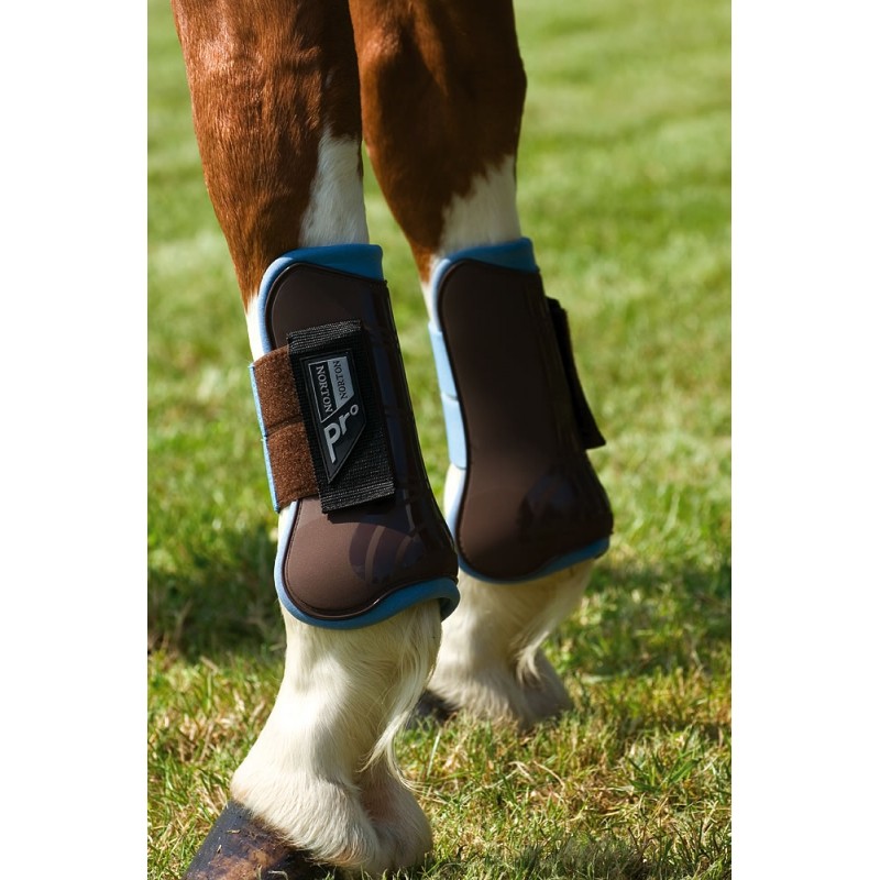 GUETRES NORTON AVEC COQUES POUR CHEVAL - Espace Pro Animaux