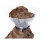 COLLERETTE POUR CHIEN