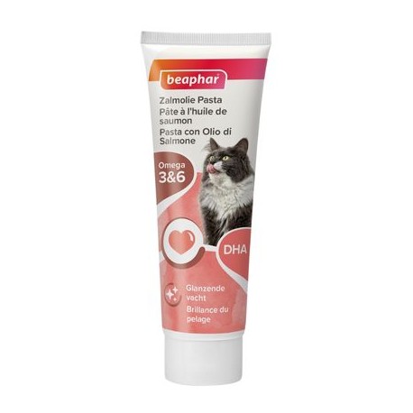 PATE POUR CHAT AU SAUMON (BEAUTE DU PELAGE)