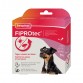 ANTIPARASITAIRE PETIT CHIEN PIPETTE*4 