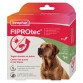 ANTIPARASITAIRE GRAND CHIEN PIPETTE*4