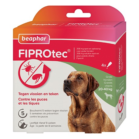 ANTIPARASITAIRE GRAND CHIEN PIPETTE*4