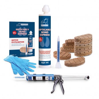 KIT PARAGE BOVIN SEPTICARE AVEC PISTOLET 