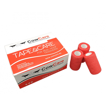 BOITE 12 BANDAGE AUTO-ADHESIVES 