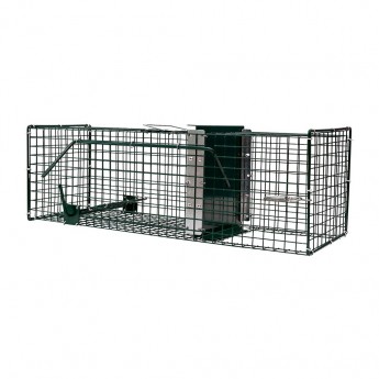 CAGE A RATS 1 ENTREE 60*19*19CM  boxtrap