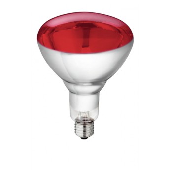 Lampe IR Philips250W 240v rouge, verre renforcé