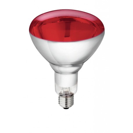 Lampe IR Philips250W 240v rouge, verre renforcé
