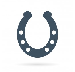 Equipement du cheval